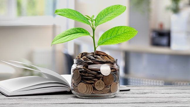 More Than Money: How to Choose the Right Investor for Your Business
