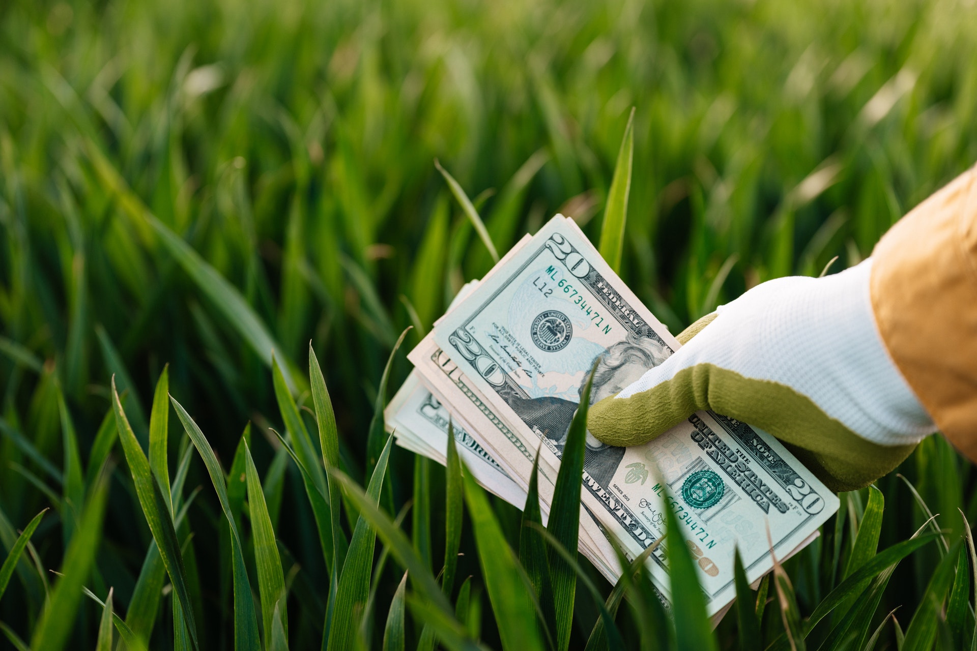 COVID-19 Alert: Global Economy to Shrink Deeper, IMF Warns