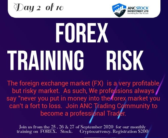 Risk & Profitability in the Foreign Exchange: Day 2 into the FOREX Market