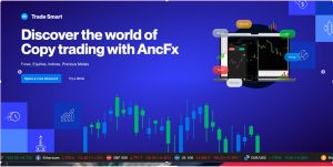 Copytrading and social trading