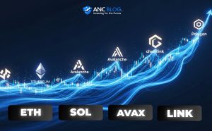 As Altcoins market momentum builds